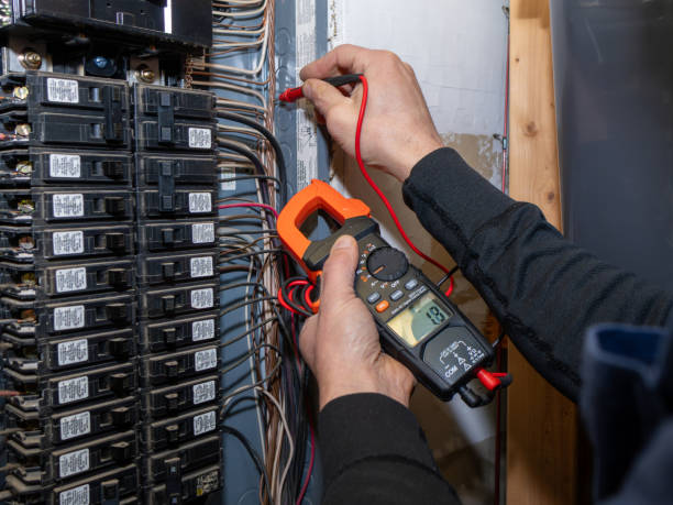 Best Ceiling Fan Installation Electrician  in Fruitland Park, FL